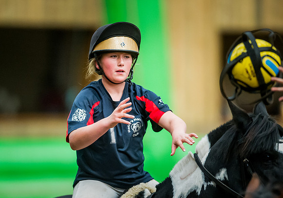 Horseball-188