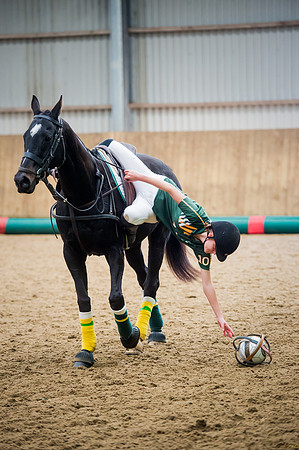 Horseball-82
