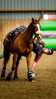 Horseball-16