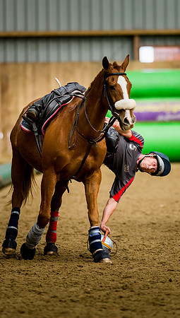 Horseball-16