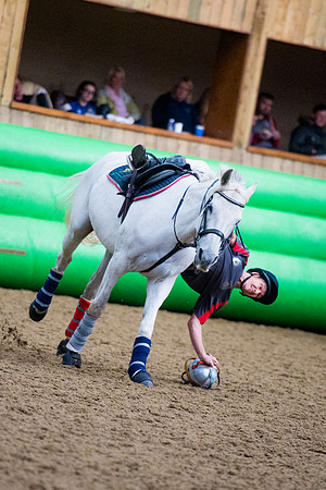 Horseball-91