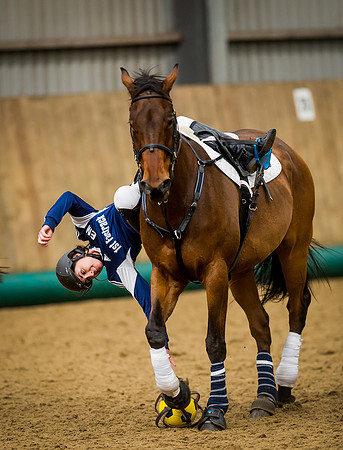 Horseball-24