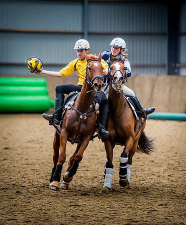 Horseball-146