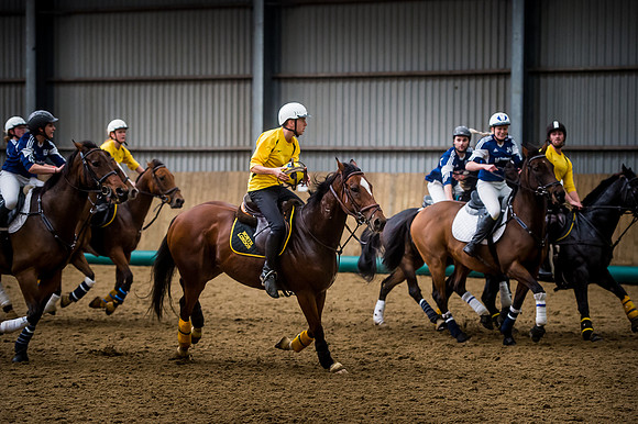 Horseball-150