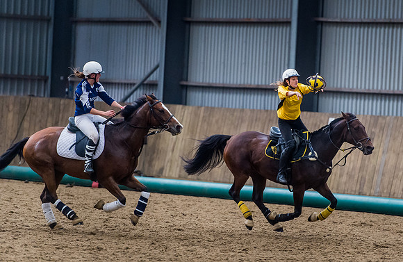 Horseball-156
