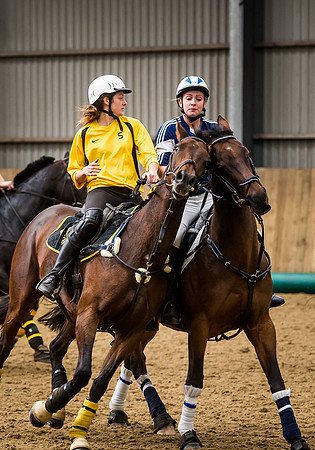 Horseball-134