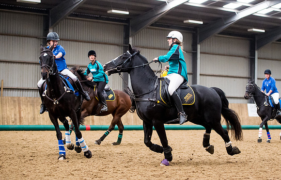 Horseball-169