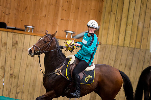 Horseball-34