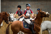 Horseball-10