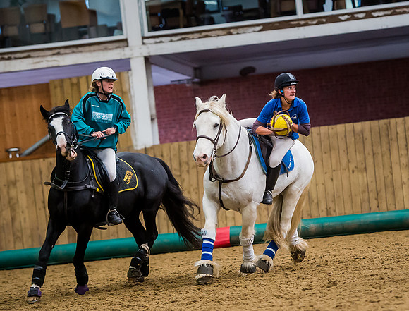 Horseball-178