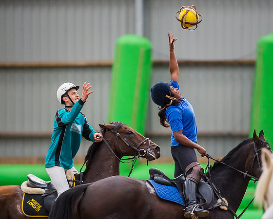 Horseball-180