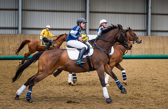 Horseball-120