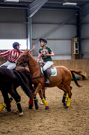 Horseball-58