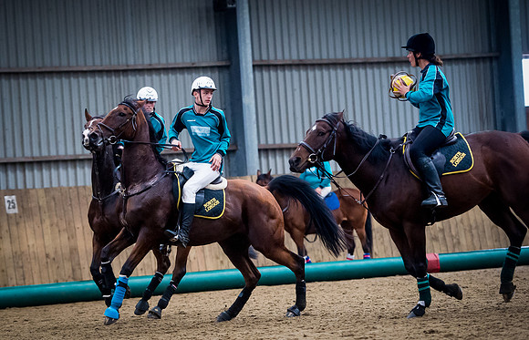 Horseball-174