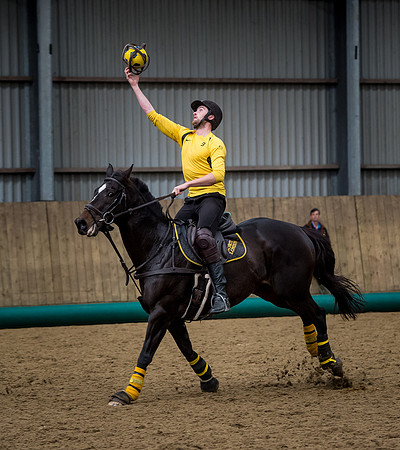 Horseball-124