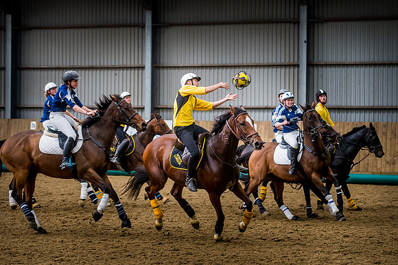 Horseball-151