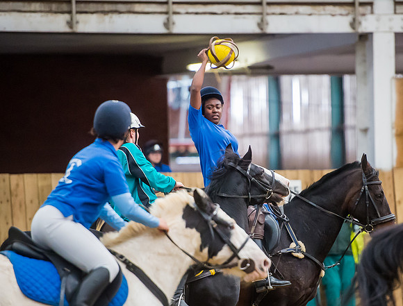 Horseball-179
