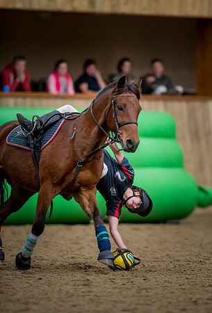 Horseball-183
