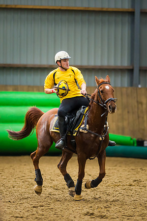 Horseball-31