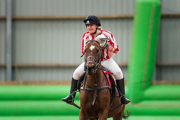Horseball-5