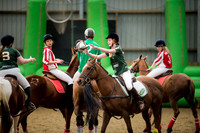 Horseball-3