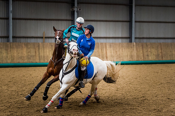 Horseball-166