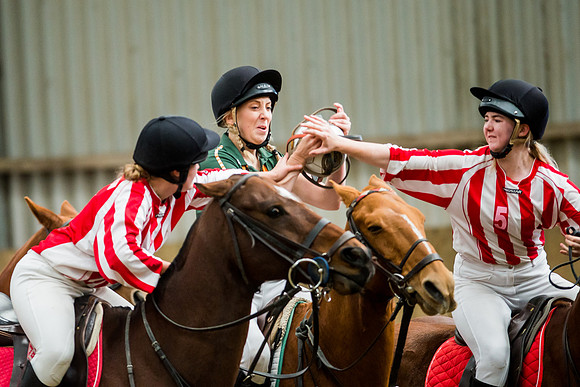 Horseball-8