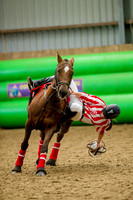 Horseball-1