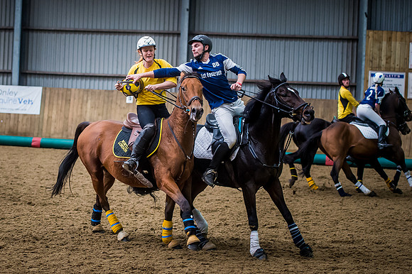 Horseball-140
