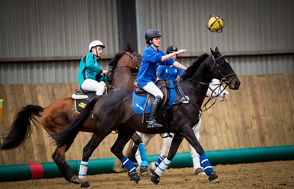 Horseball-173