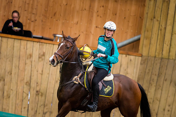 Horseball-35