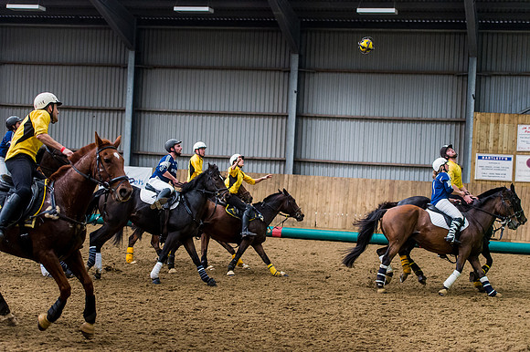 Horseball-157