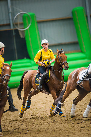 Horseball-30
