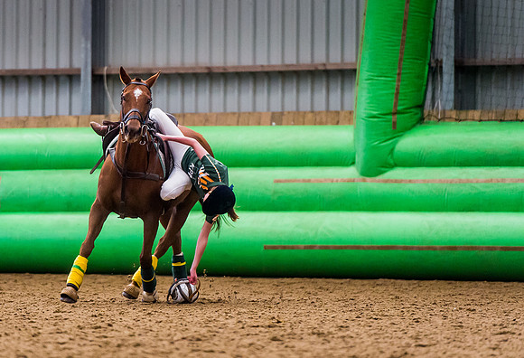 Horseball-57