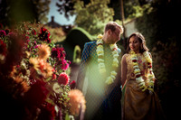 Matthew and Nisha Wedding Colour