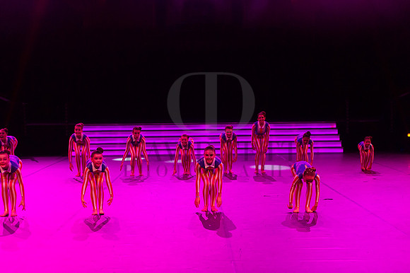 Dance Proms Performance-1347