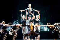 Everybody Performance