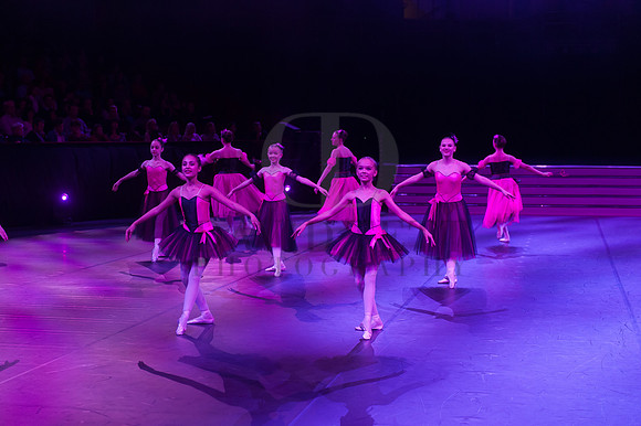 Dance Proms Performance-1154