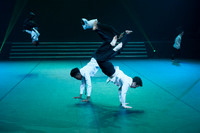 Heartbeat Performance