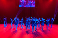 Paso Loco Performance