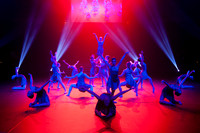 Paso Loco Performance