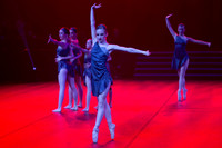 Paso Loco Performance