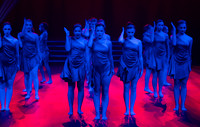 Paso Loco Performance