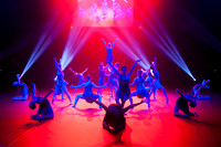 Paso Loco Performance