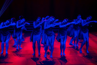 Paso Loco Performance