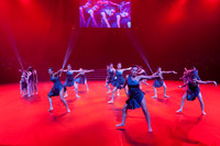 Paso Loco Performance