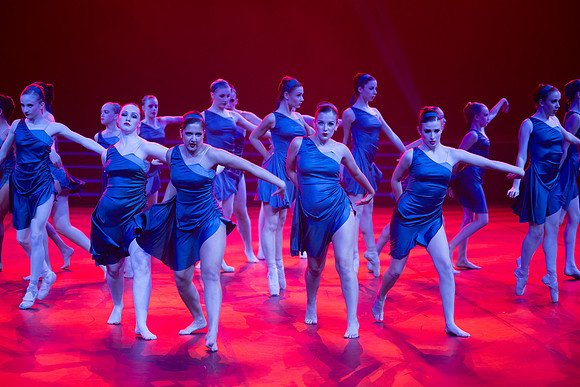 Paso Loco Performance