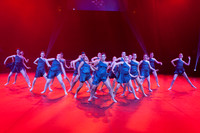 Paso Loco Performance