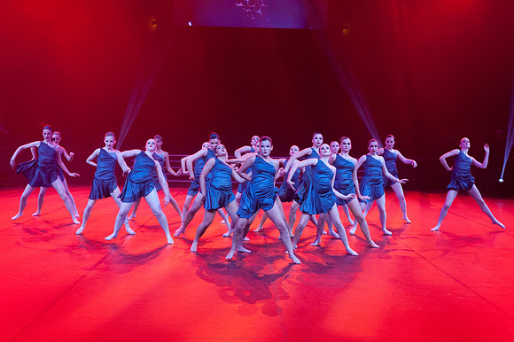Paso Loco Performance