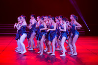 Paso Loco Performance